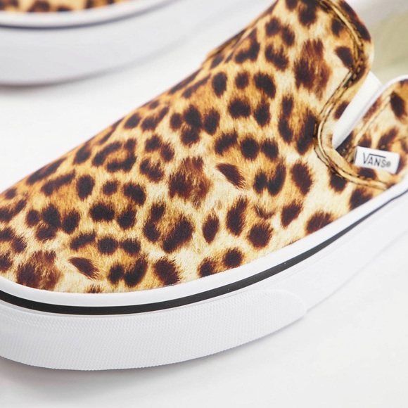 Leopard Vans - Picture 2 of 4